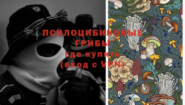 спиды Зеленокумск