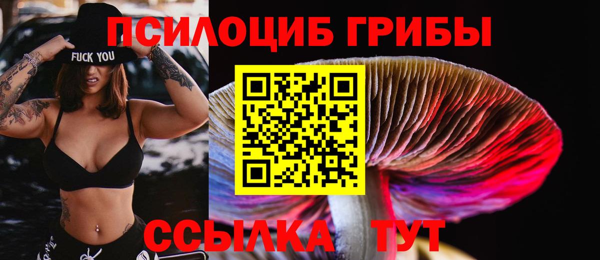 Дивногорск  Галлюциногенные грибы мицелий  Вход с VPN 