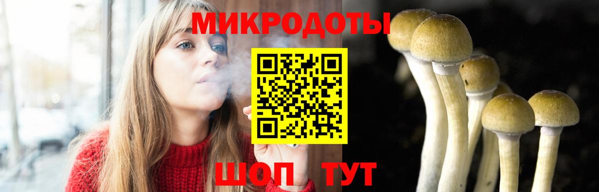 Галлюциногенные грибы Magic Shrooms Дивногорск